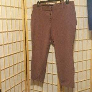 Express Mid Rise Pants